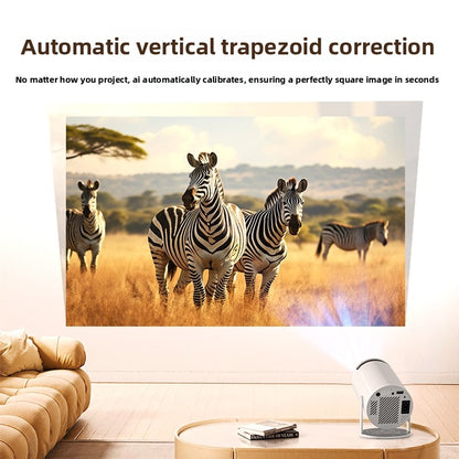 Portable projector