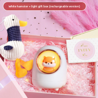Portable Rechargeable Air Humidifier with Night Light