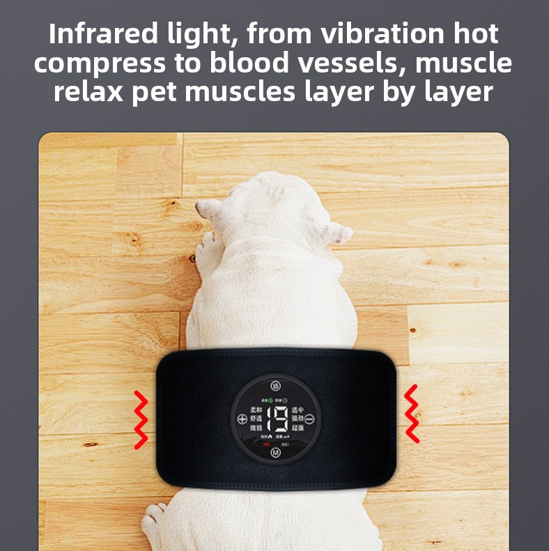 Portable Rechargeable Pet Far-red Light Therapy Massager
