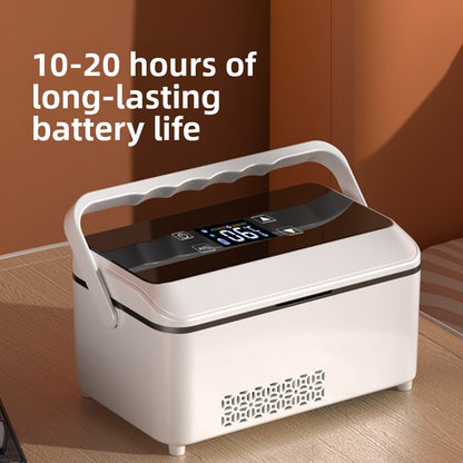 Portable Refrigerator Box