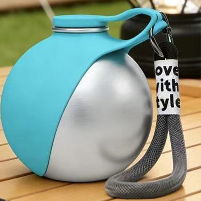 Portable Stainless Steel Pet Thermos Cup