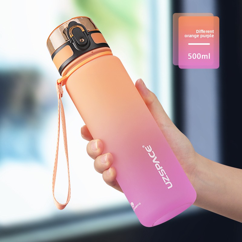 Portable Stainless Steel Water Bottle