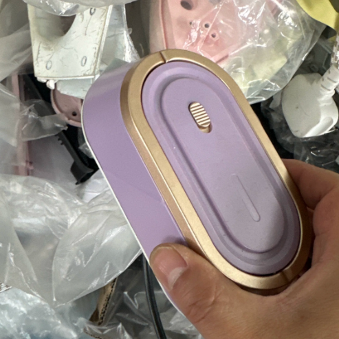 Portable Steamer and Iron