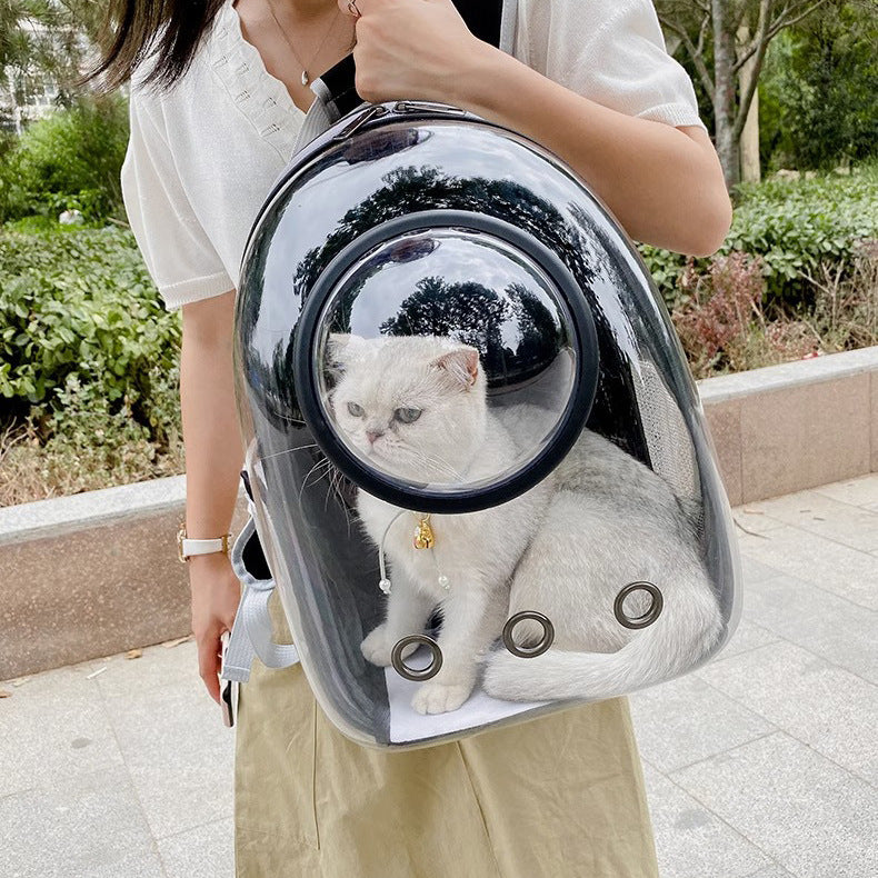 Portable Transparent Pet Cat Backpack