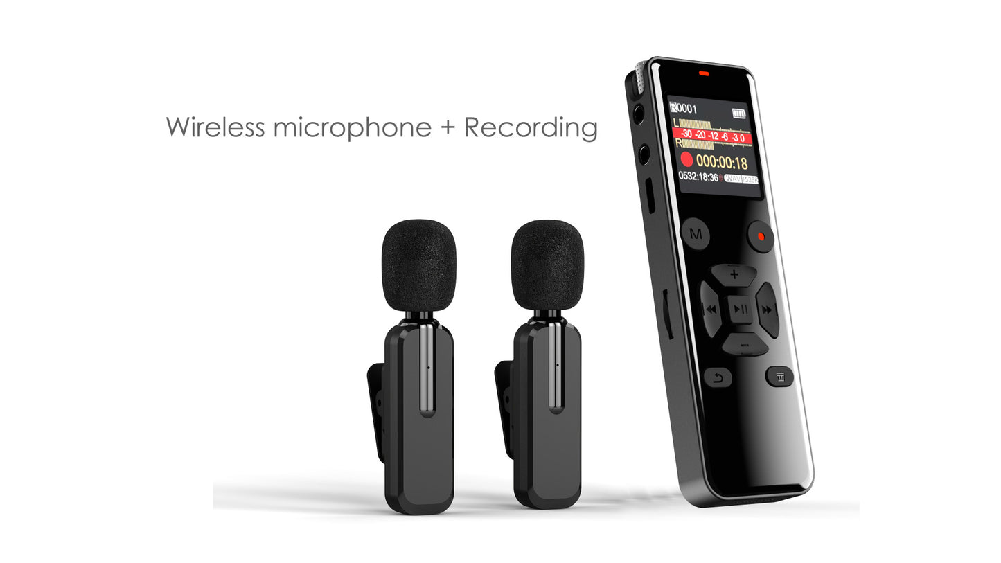 Portable voice recorder