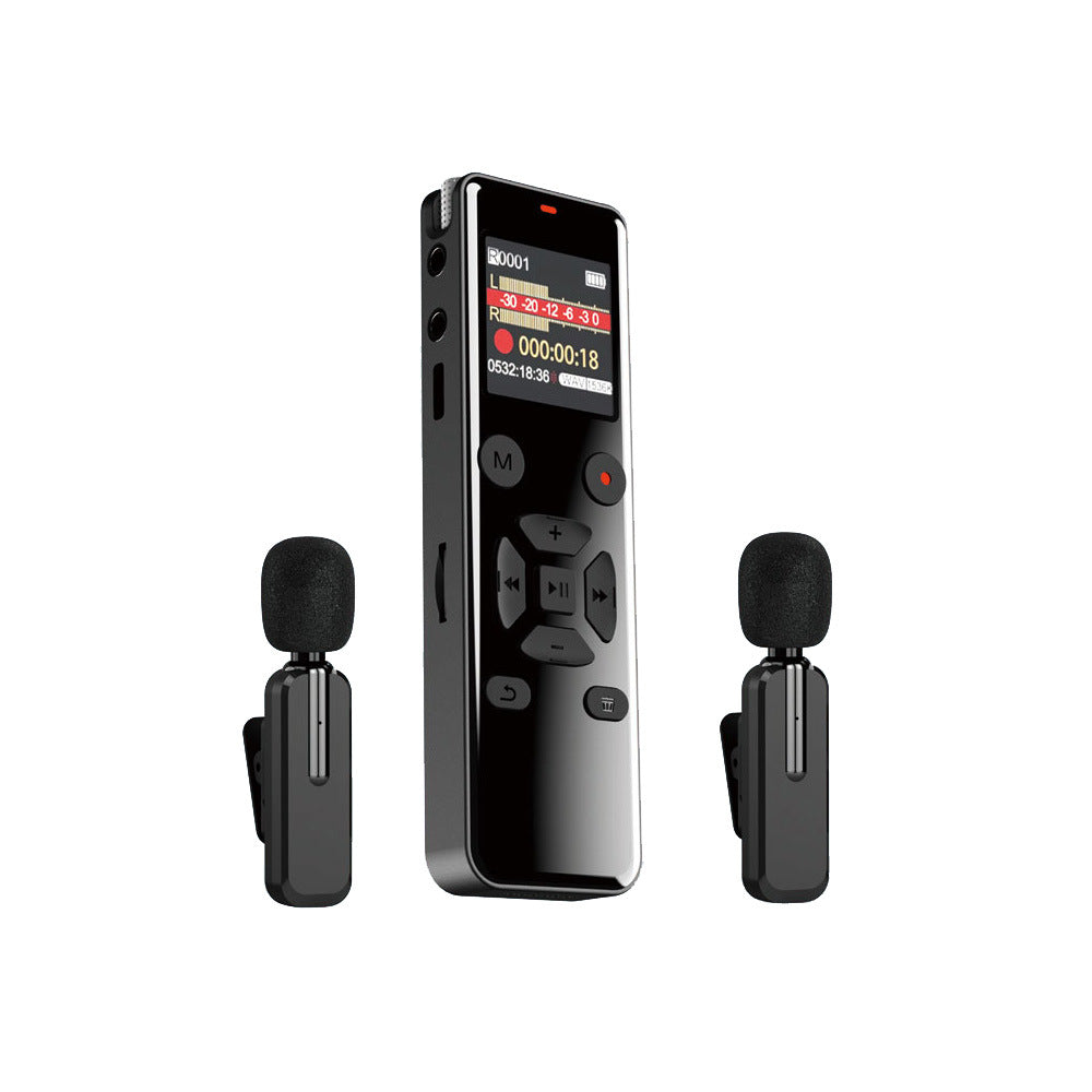 Portable voice recorder