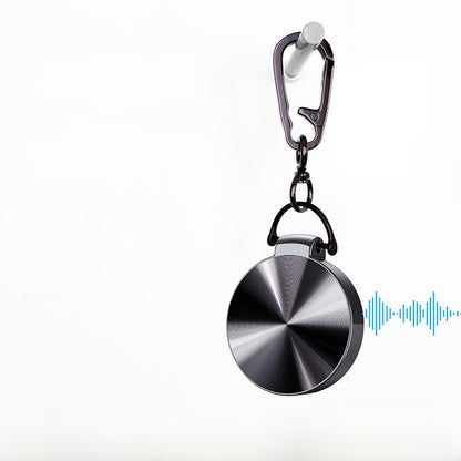 Portable Voice Recorder with Text Conversion