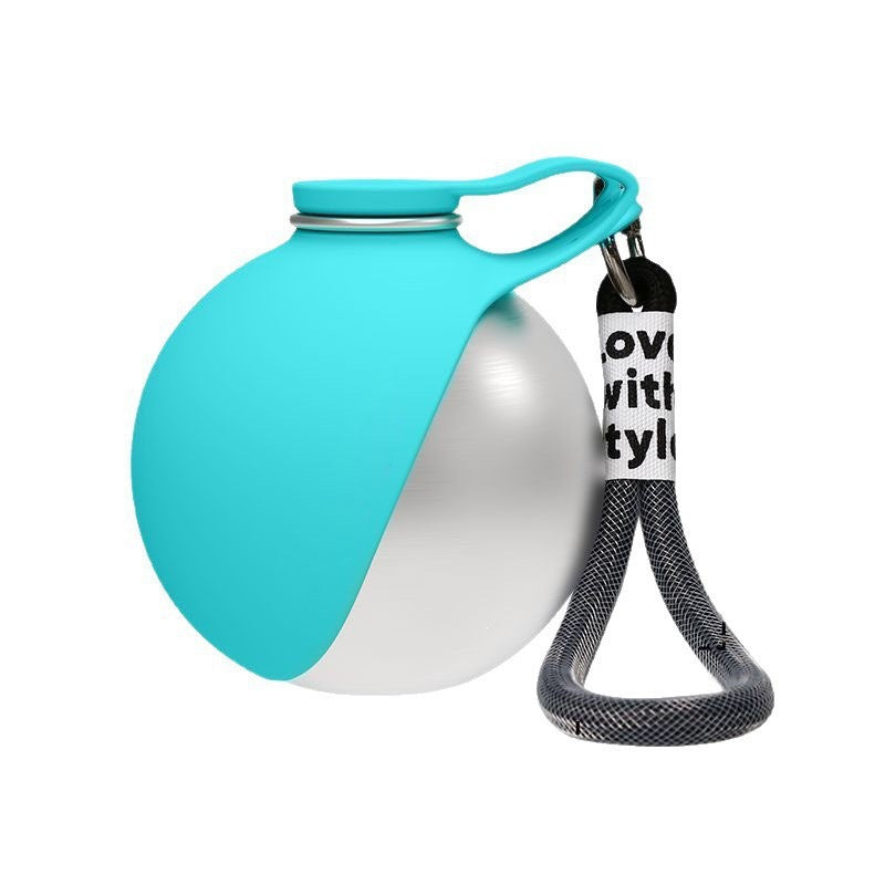 Portable water bottle