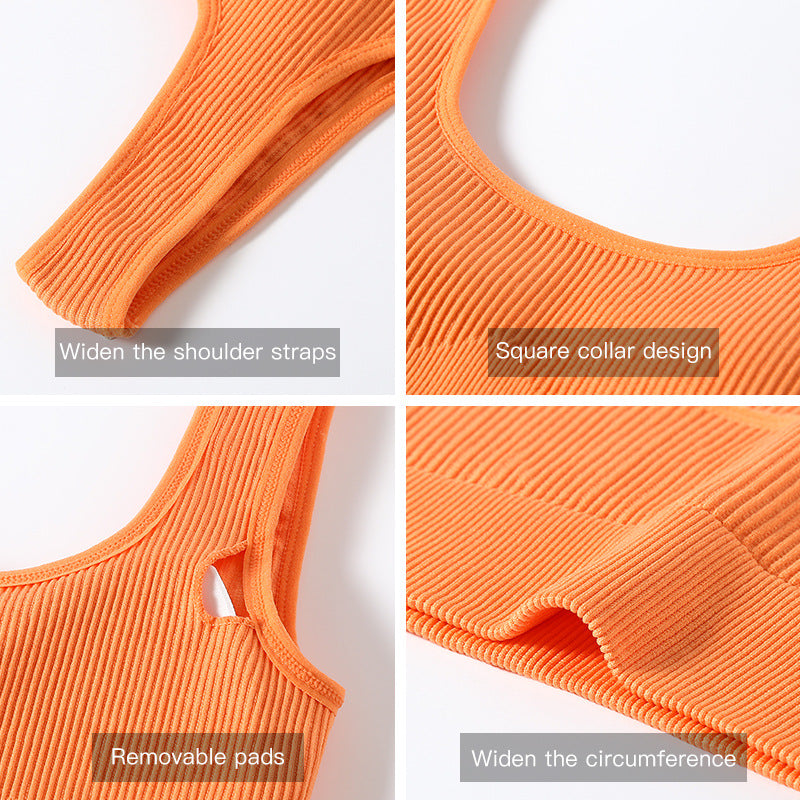 ports Bra