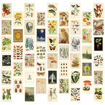 Postcard poster