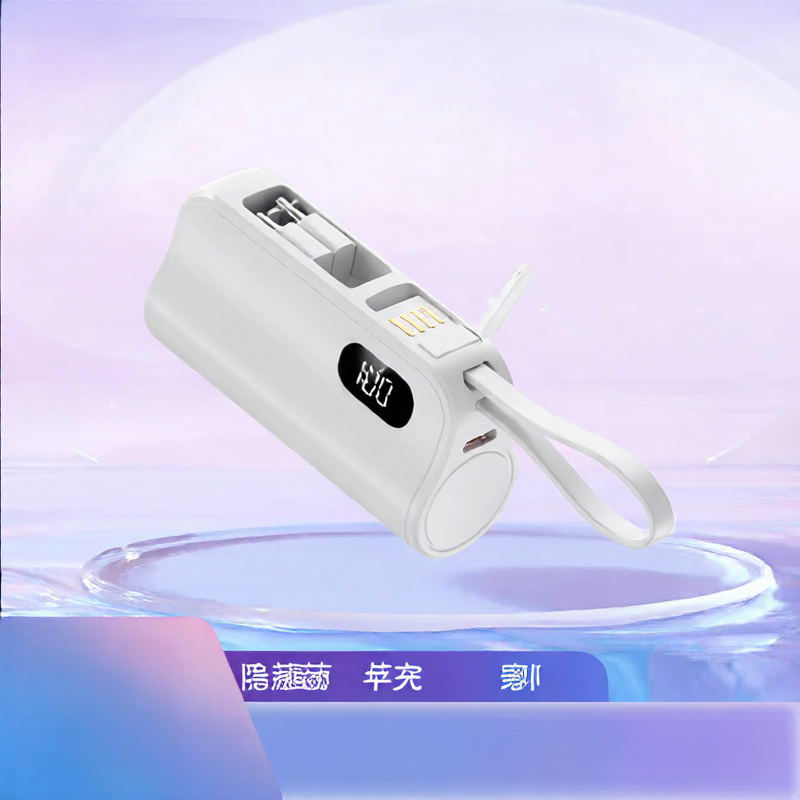 Power Bank Portable