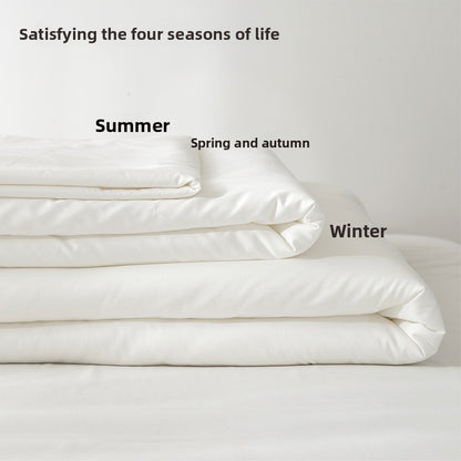 Premium Cotton Filled Quilt