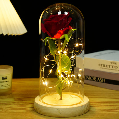 Preserved Flower Glass Dome with LED Base