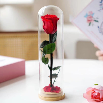 Preserved Flower Ornament