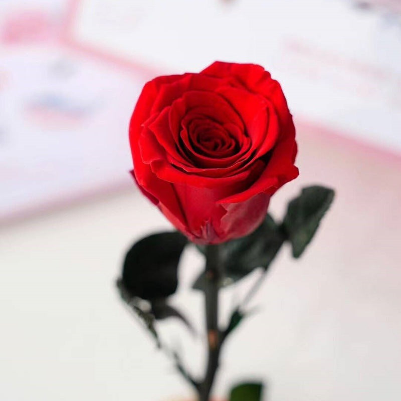 Preserved Flower Ornament