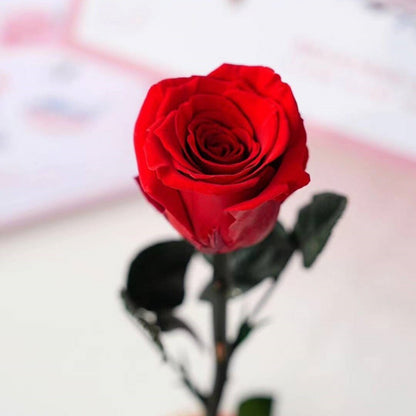 Preserved Flower Ornament