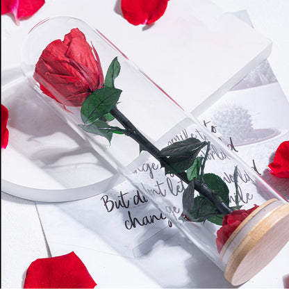 Preserved Flower Ornament