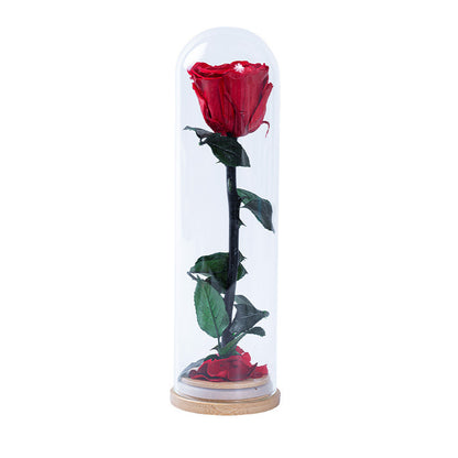 Preserved Flower Ornament