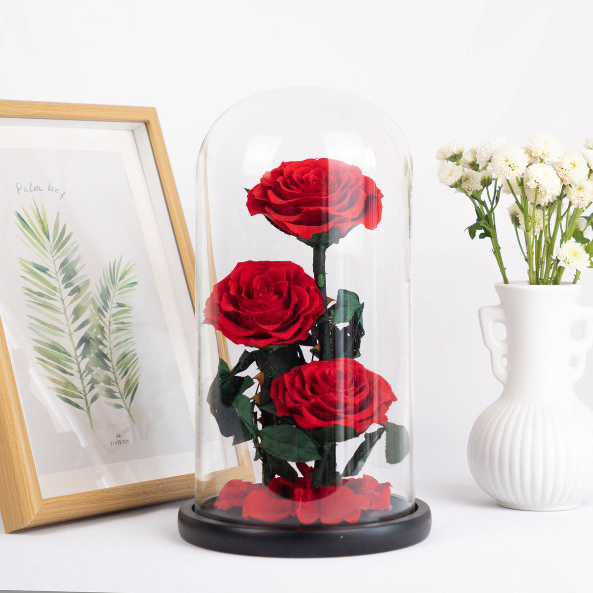 Preserved Flowers