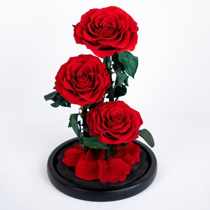 Preserved Flowers