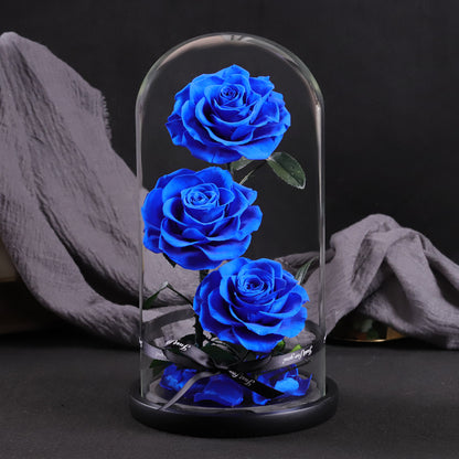 Preserved Flowers