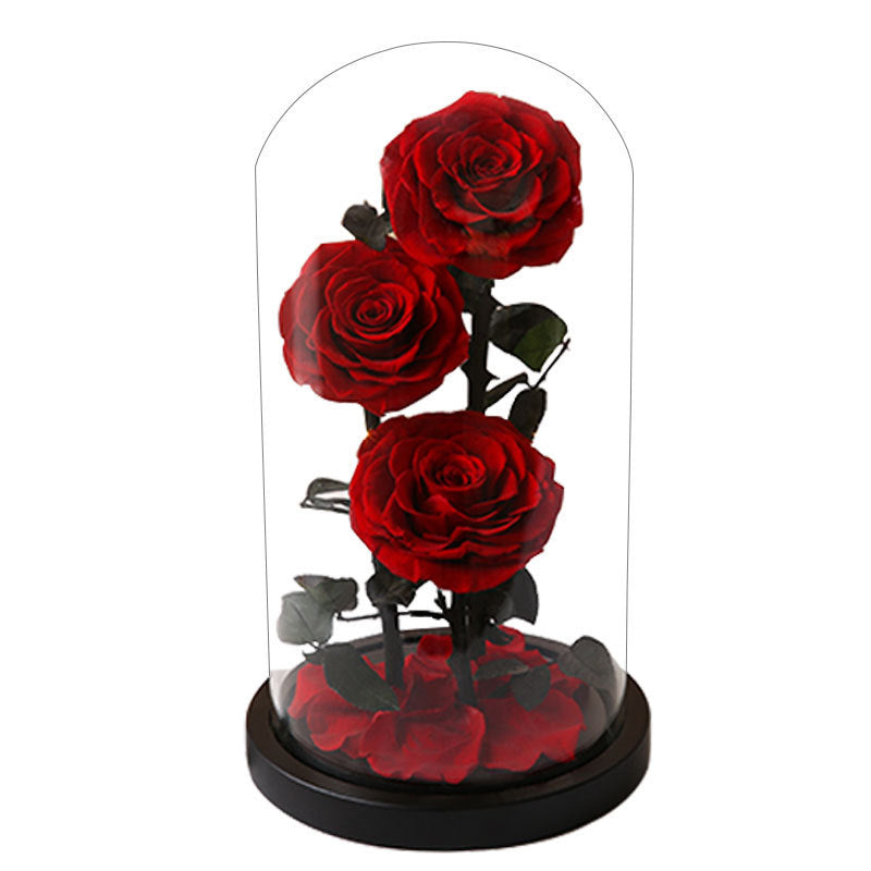 Preserved Flowers