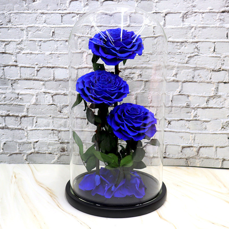 Preserved Flowers