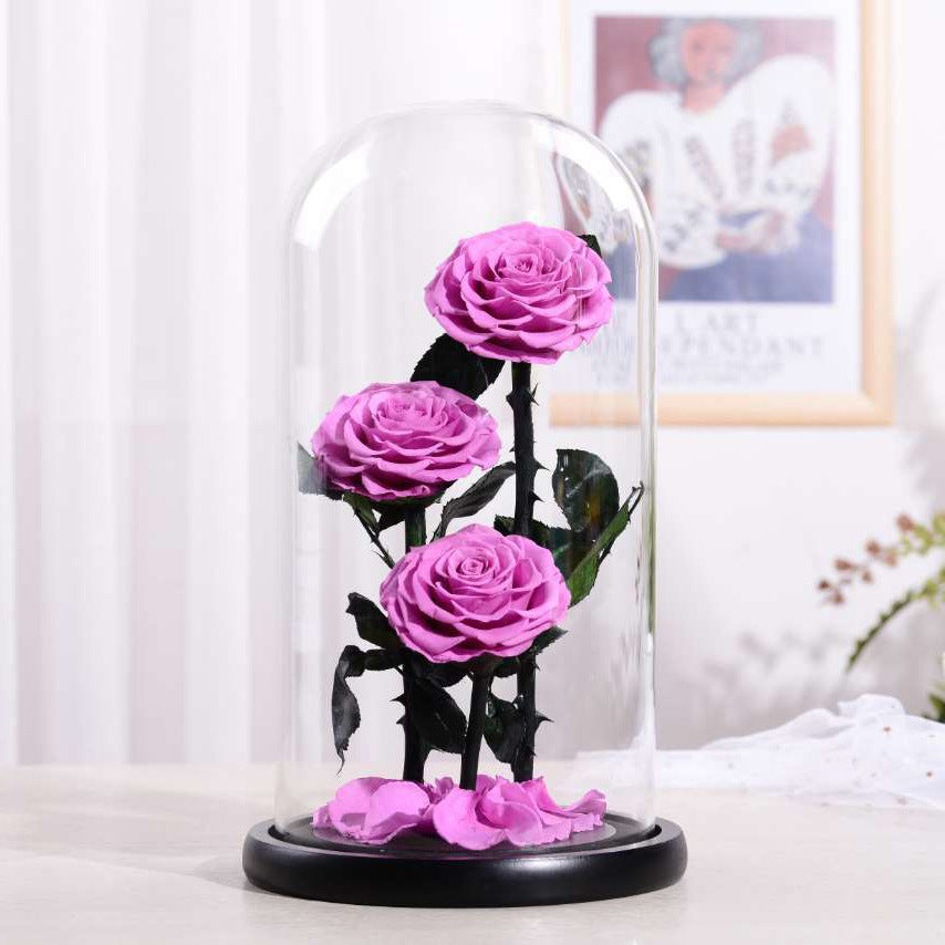Preserved Flowers