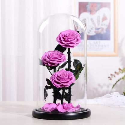 Preserved Flowers