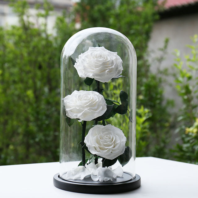 Preserved Flowers