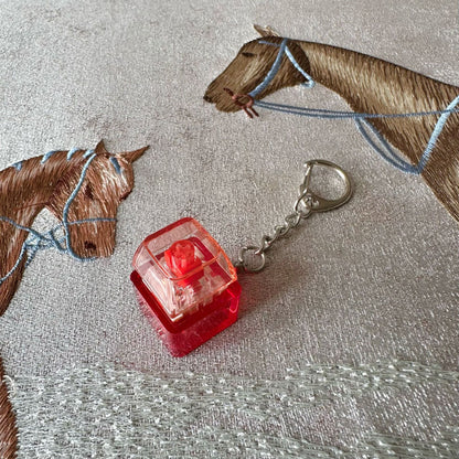 Press Button Toy