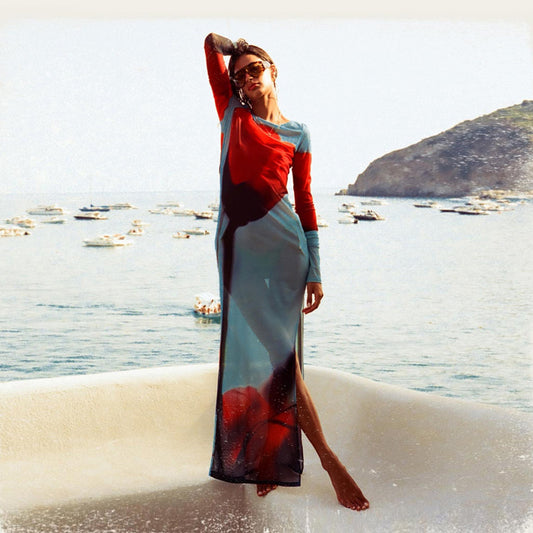 Printed netted dress