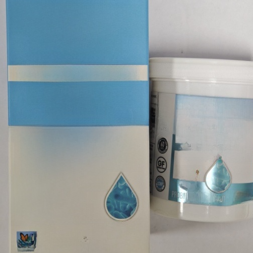 Probiotic Capsules