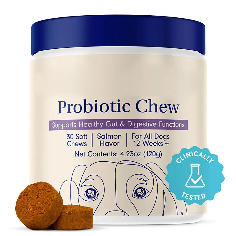 Probiotic Supplement