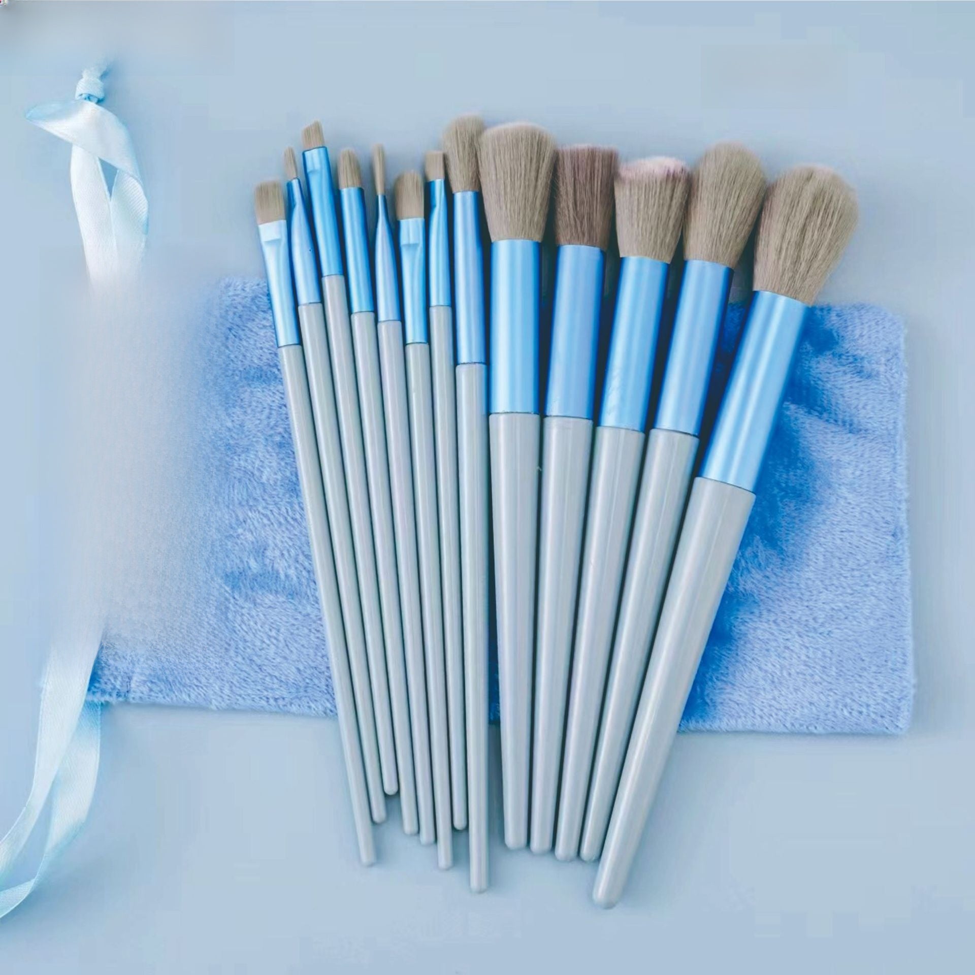 Professional 13-Piece Makeup Brush Set with Velvet Pouch