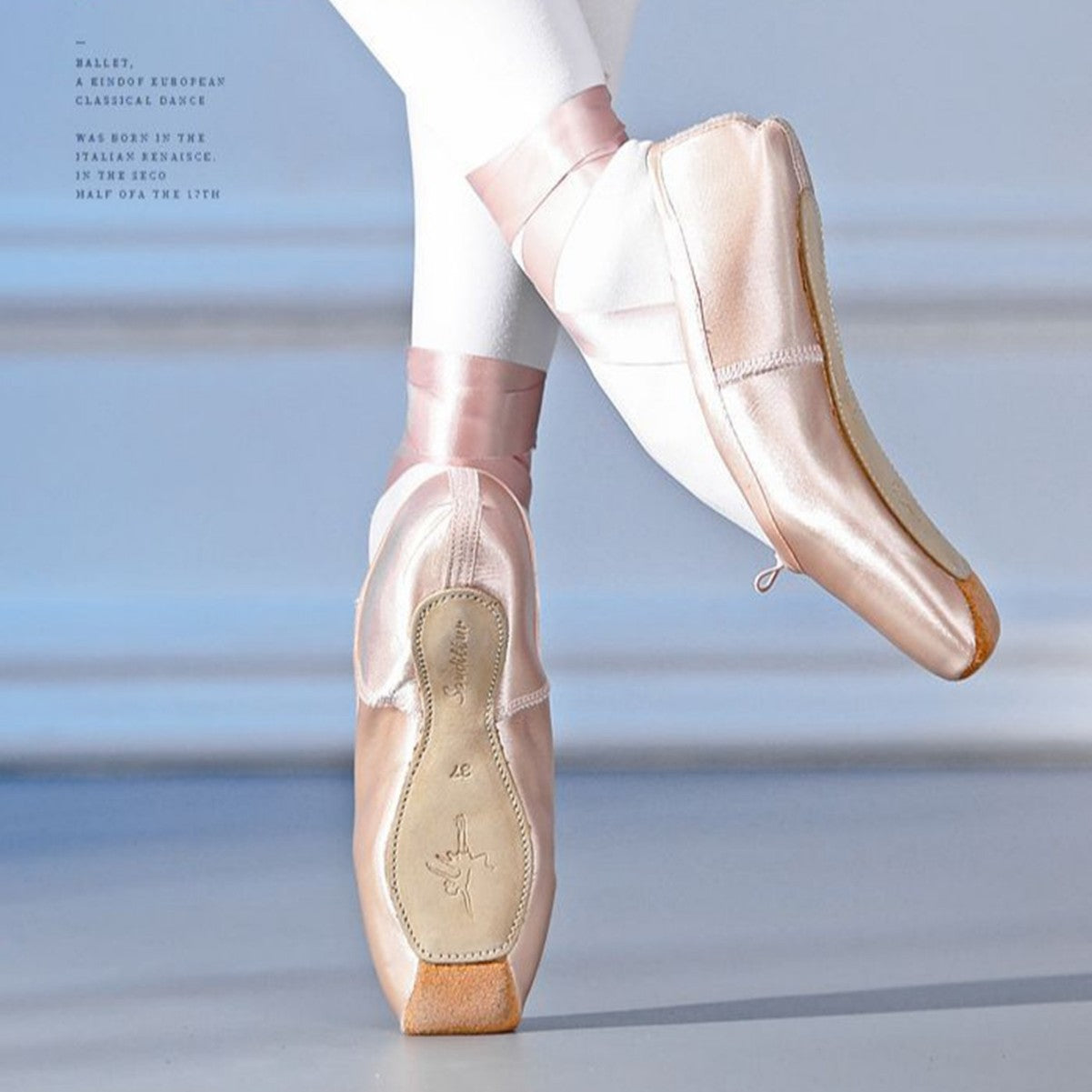 Professional Ballet Pointe Shoes