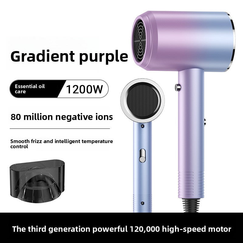 Professional Hair Dryer with Negative Ion Technology
