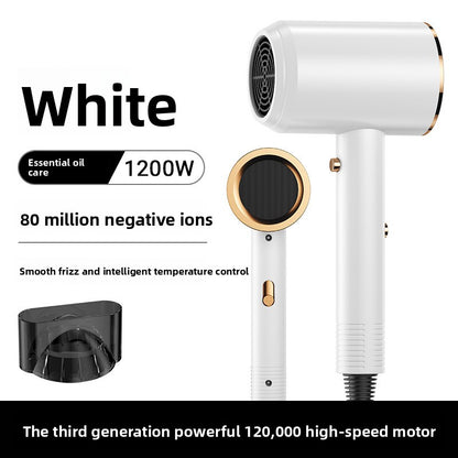 Professional Hair Dryer with Negative Ion Technology