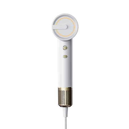 Professional Hair Dryer with Negative Ion Technology