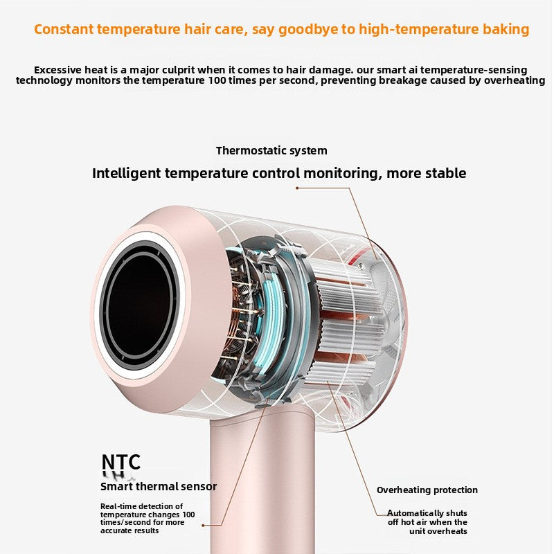 Professional Hair Dryer with Negative Ion Technology