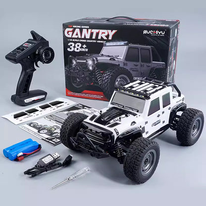 Professional RC Off-Road Remote Control Car