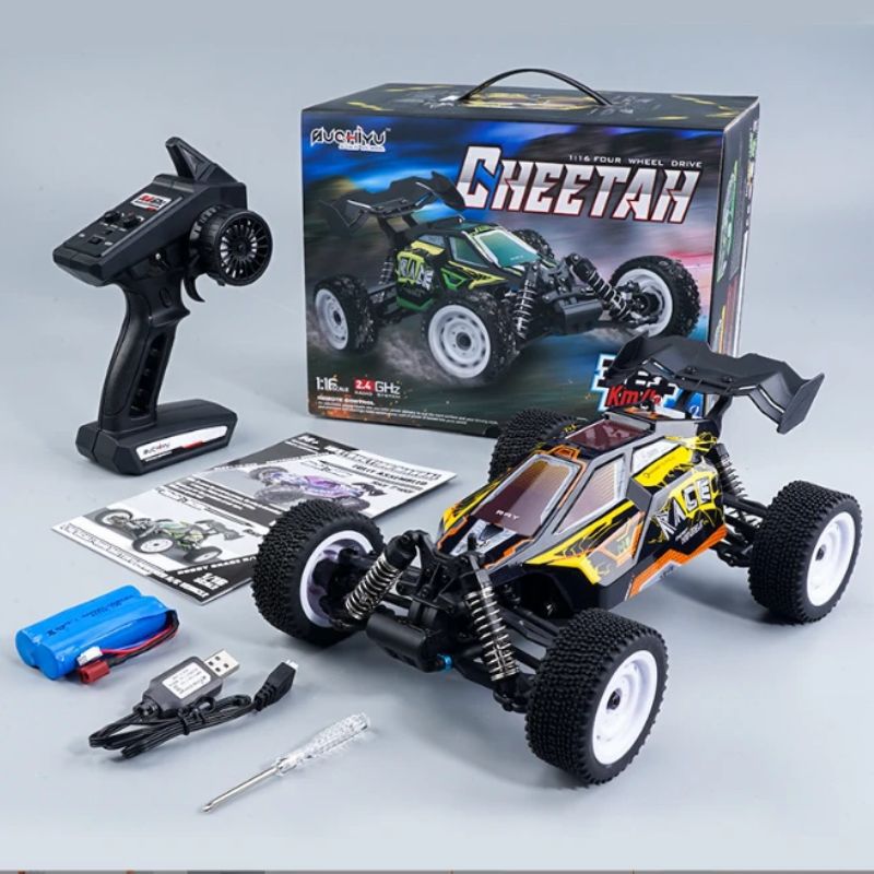 Professional RC Off-Road Remote Control Car