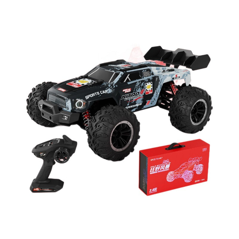 Professional RC Remote Control Car