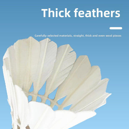 Professional Training Badminton Shuttlecocks Goose Feather 12 Pack