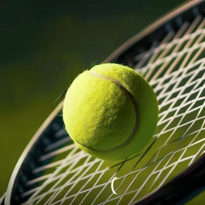 Professional Training Tennis Balls