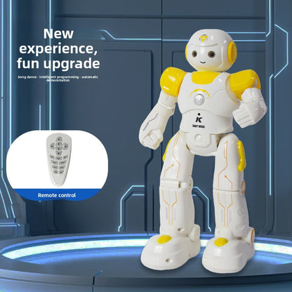 Programmable Remote Control Robot Toy