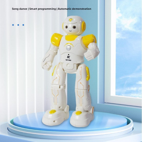 Programmable Remote Control Robot Toy