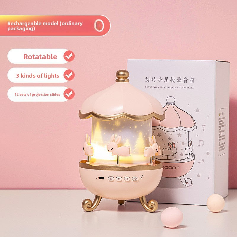 Projection Lamp