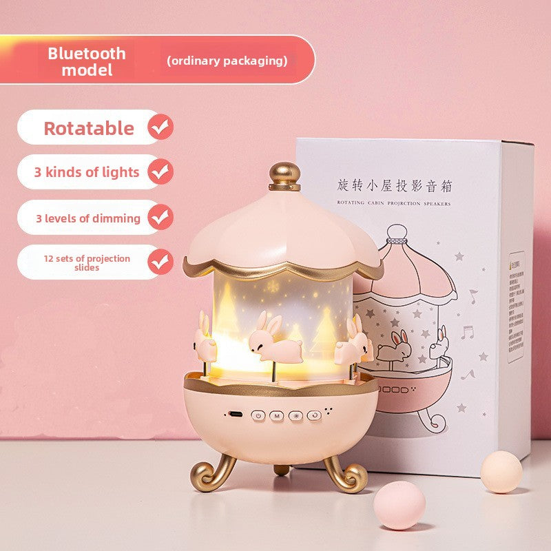 Projection Lamp