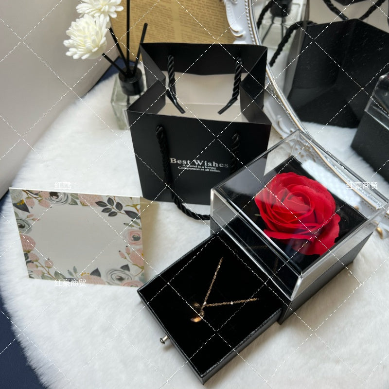 Projection Necklace Set